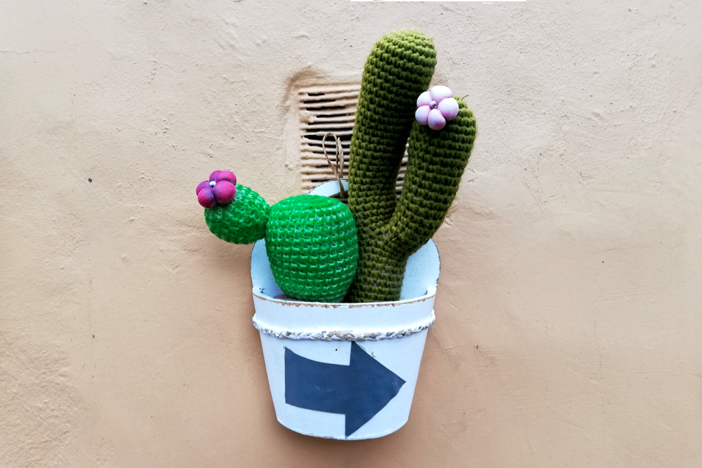 Crochet cactus in Agüimes