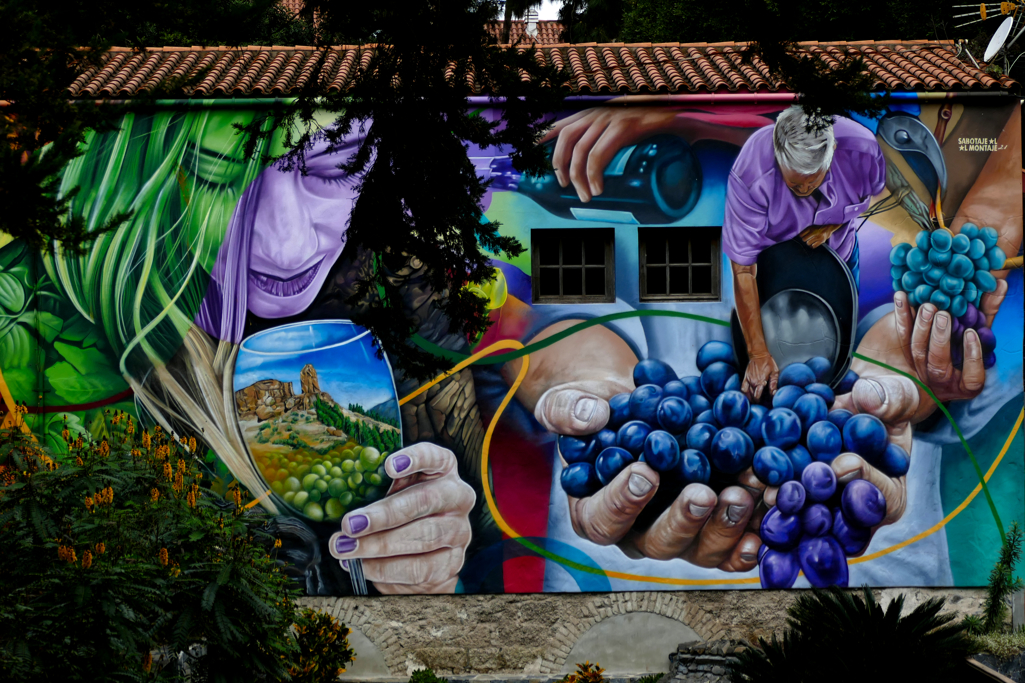 Casa Museo del Vino in Santa Brigida