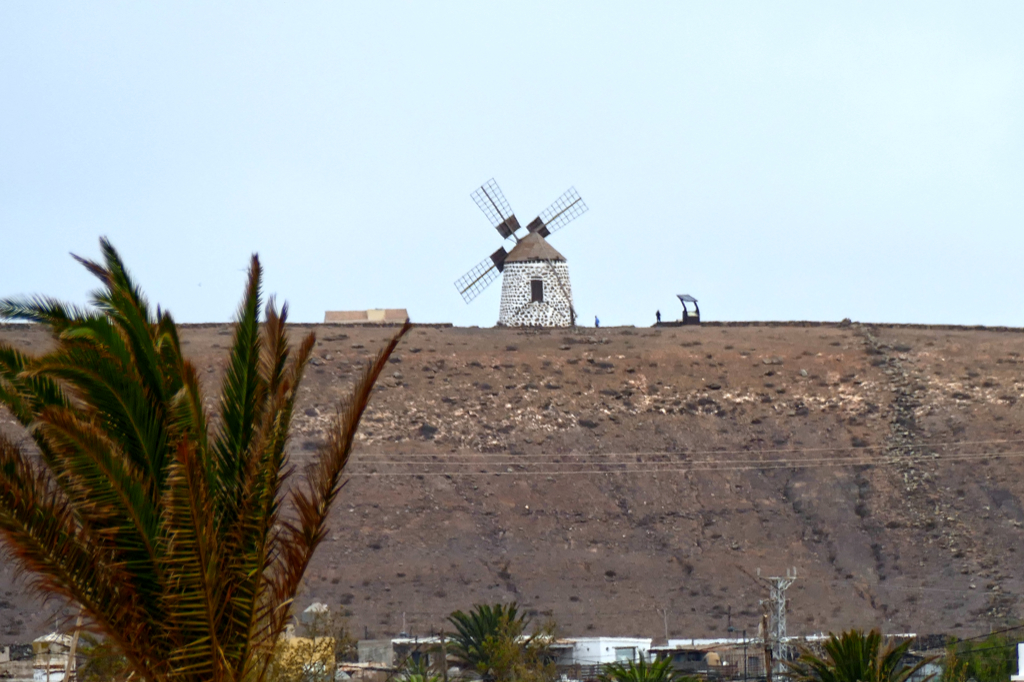 One of the windmills between La Oliva and Villaverde.