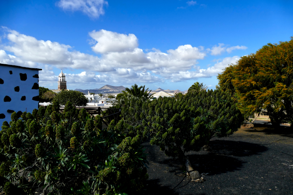 Landscape on the island of Lanzarote