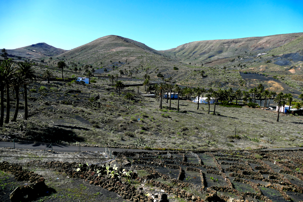 Haria Valley of 1000 Palms in Lanzarote.