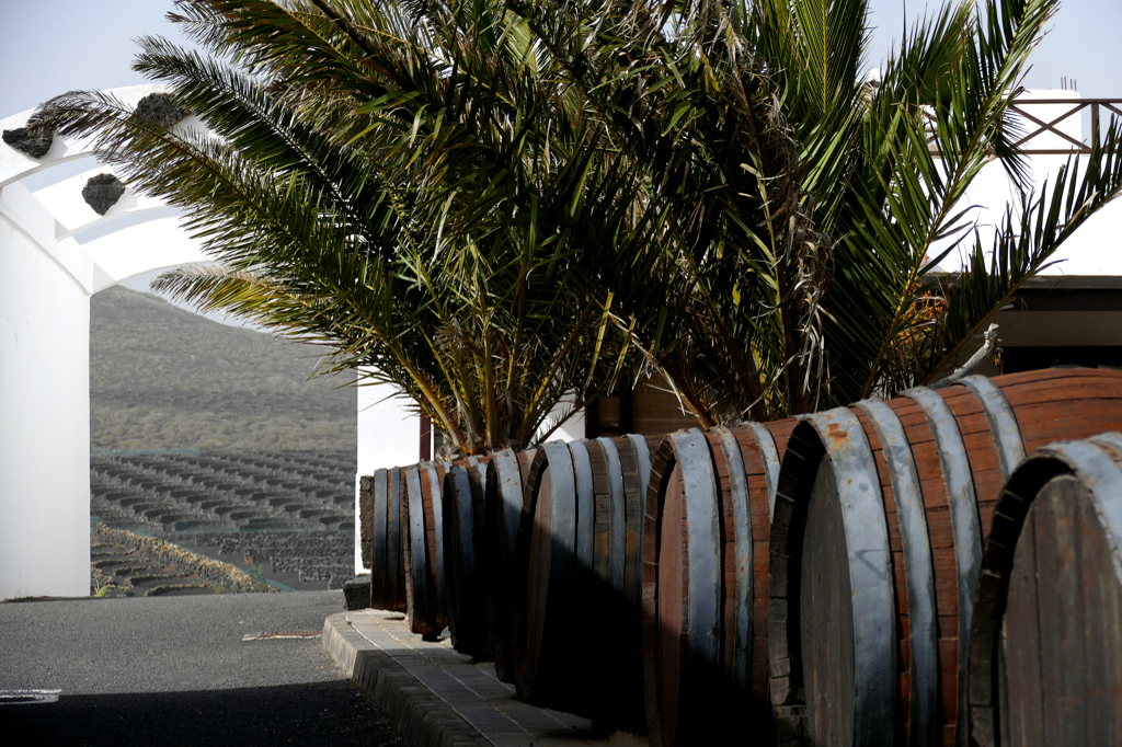 Wine barrels at the Vinos del Campesino Winery