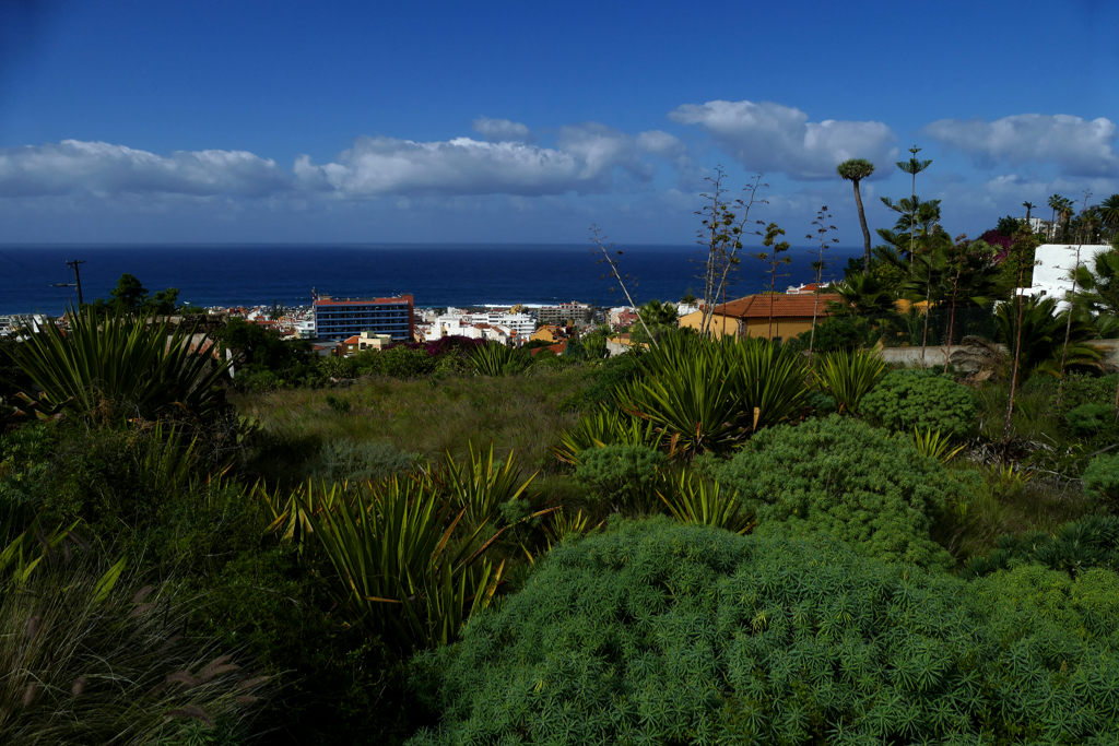 View of Puerto de la Cruz from 