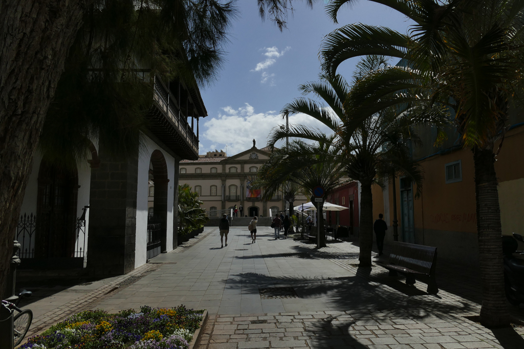 Museum of Nature and Archaeology in Santa Cruz de Tenerife