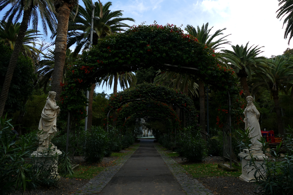 Parque García Sanabria in Sante Cruz de Tenerife