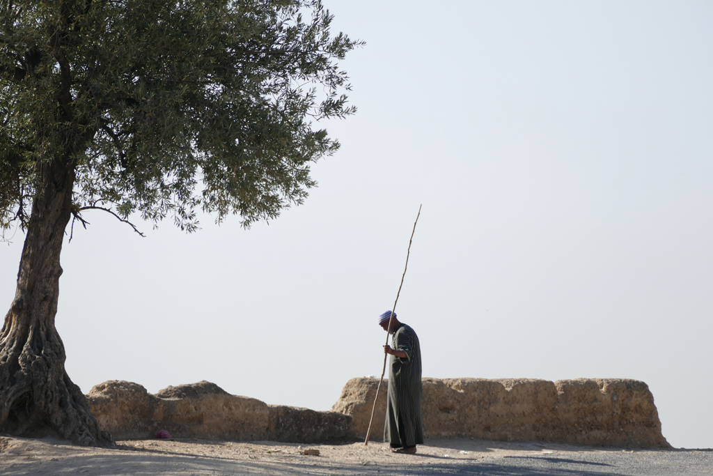 An old man on the site of the Marinid Tombs above Fez Al Bali.