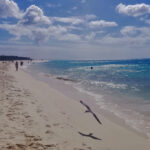 Eagle Beach - one of Aruba's most famous beaches.