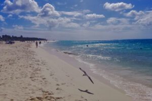 Eagle Beach - one of Aruba's most famous beaches.