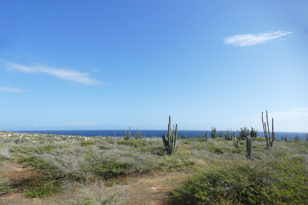 Alto Vista Trail