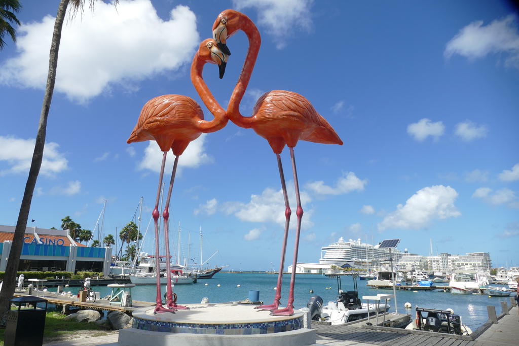 Flamingos are actually just a cliché since, as a matter of fact, Aruba is the only one of the ABC islands where you do not find flamingos in the wild.