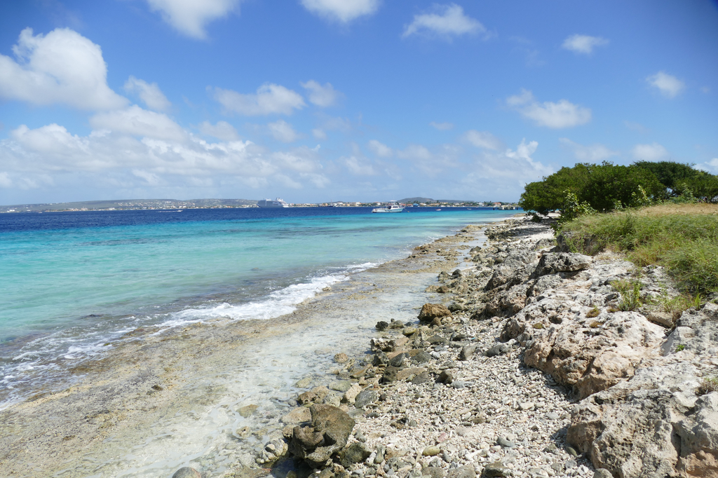 Coast of Bonaire.