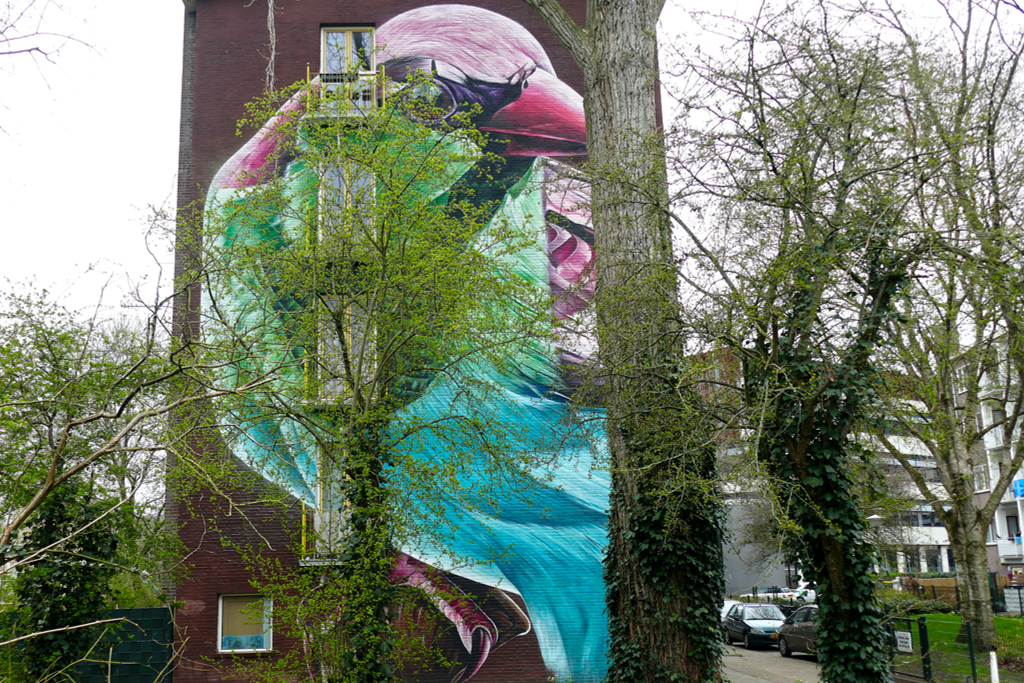 IF WALLS COULD SPEAK: The Best Street Art Project in Amsterdam: dopie WHAT COMES FLYING FROM FAR OR NEAR, THE SPARROW OR ROSE-ROUNDED PARAKEET. IN AMSTERDAM WE ALL ARE IN IT