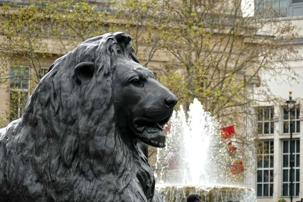At the base of Nelson's Column are four bronze lions sculpted by Sir Edwin Landseer.
