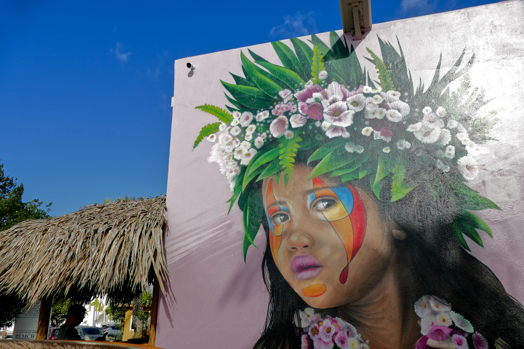 Mural by Tymon de Laat - Street Food And Urban Art Tour Bonaire