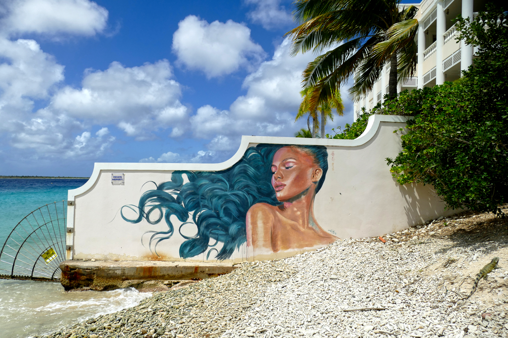 Mural by Garrick Marchena - Street Food And Urban Art Tour Bonaire