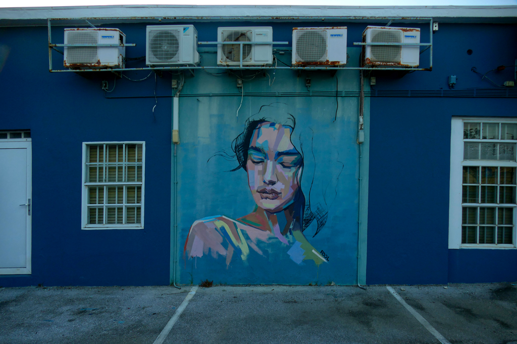 Mural by Darrick da Silva Marchena aka FOOL. Murals in CURACAO: The Best Street Art Projects in Willemstad