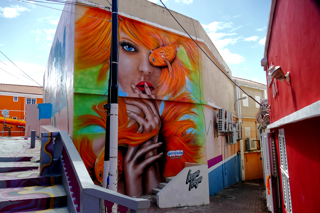Best Street Art in Curacao: Mural by Luis Alberto Munoz Zabala aka Aerografia Luis.