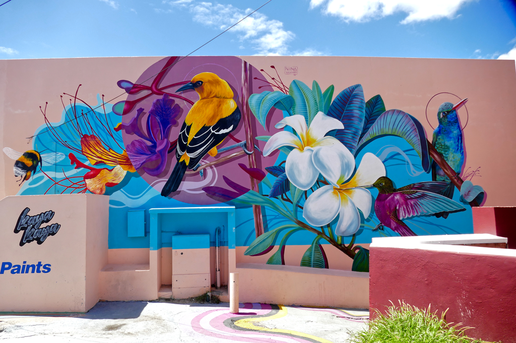 Best Street Art in Curacao: Mural by Nina Valkhoff.