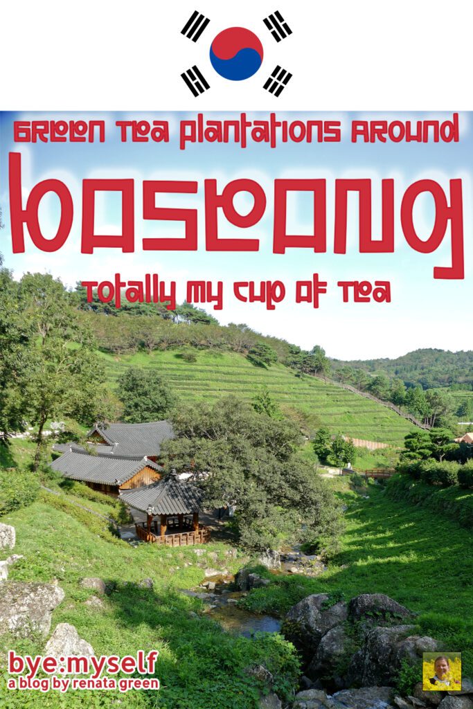 South Korea's famous green tea grows on lush plantations in the area around Boseong. A visit is a feast for the palate and the eyes! #tea #greentea #teaplantation #boseong #daehandawon #boseong #korea #southkorea #asia #roadtrip #solotrip #byemyself