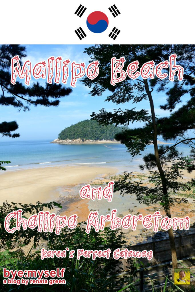 Mallipo Beach with the Chollipo Arboretum just a comfortable walk away is the perfect getaway not only from the hustle and bustle of Seoul. #mallipo #chollipo #chollipoarboretum #beach #weekendtrip #daytrip #botanicgarden #korea #southkorea #asia #solotravel #byemyself