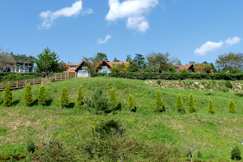 Boseong Green Tea Resort.