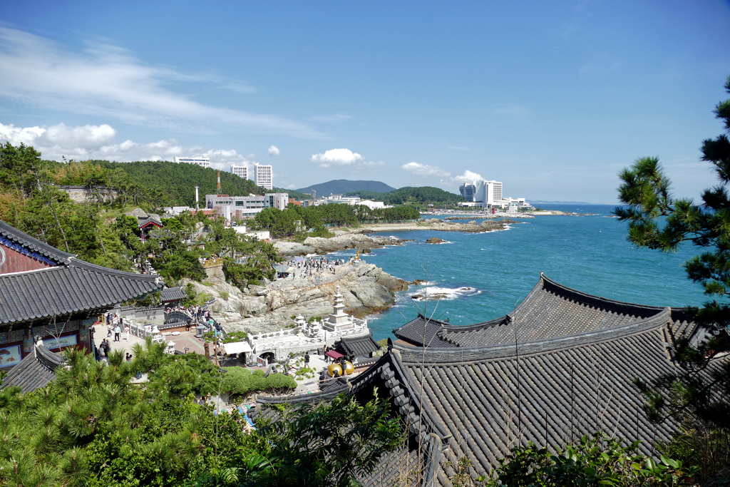 Coast of Busan