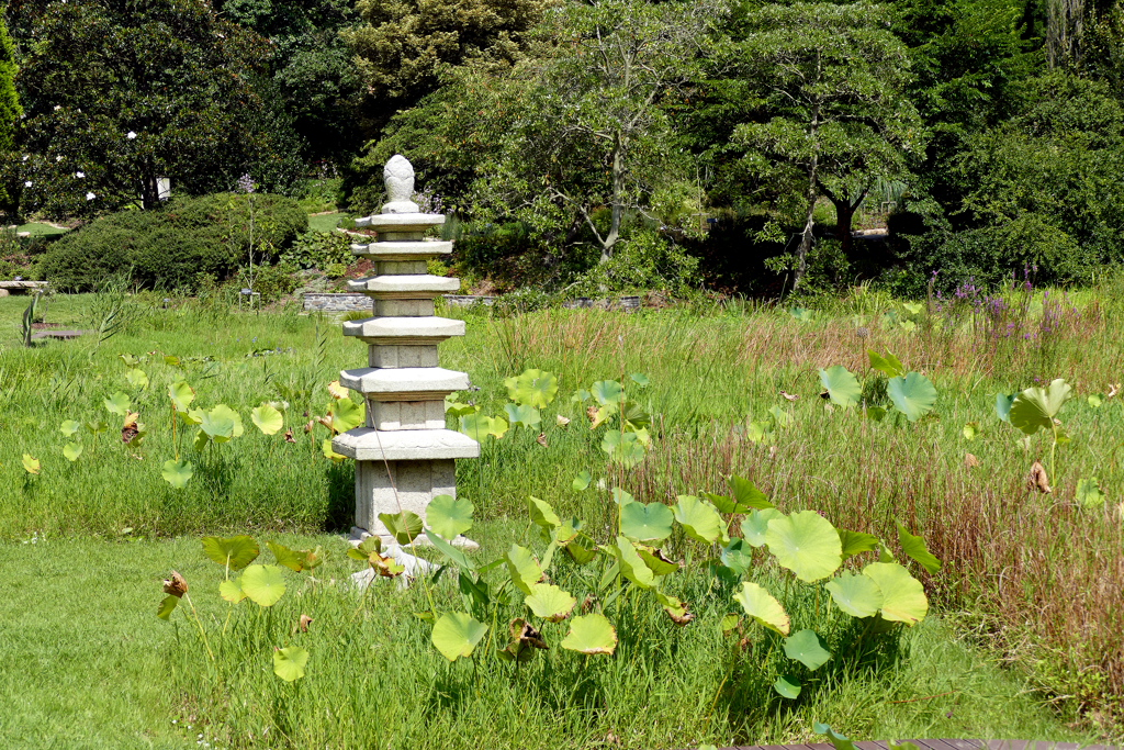 Statue in a Rice paddy at the Chollipo Arboretum.