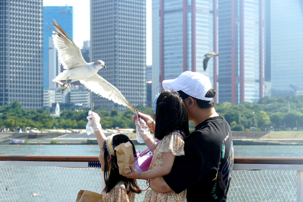 Kids feeding seagulls during a cruise in Seoul
