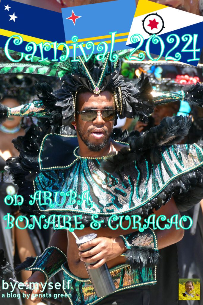 Don't let that winter blues bring you down: Better enjoy floats and festivities during Carnival season 2024 in Aruba, Bonaire, and Curacao! #aruba #bonaire #curacao #abcislands #dutchantilles #caribbean #westindies #island #carnival #carnival2024 #solotravel #byemyself