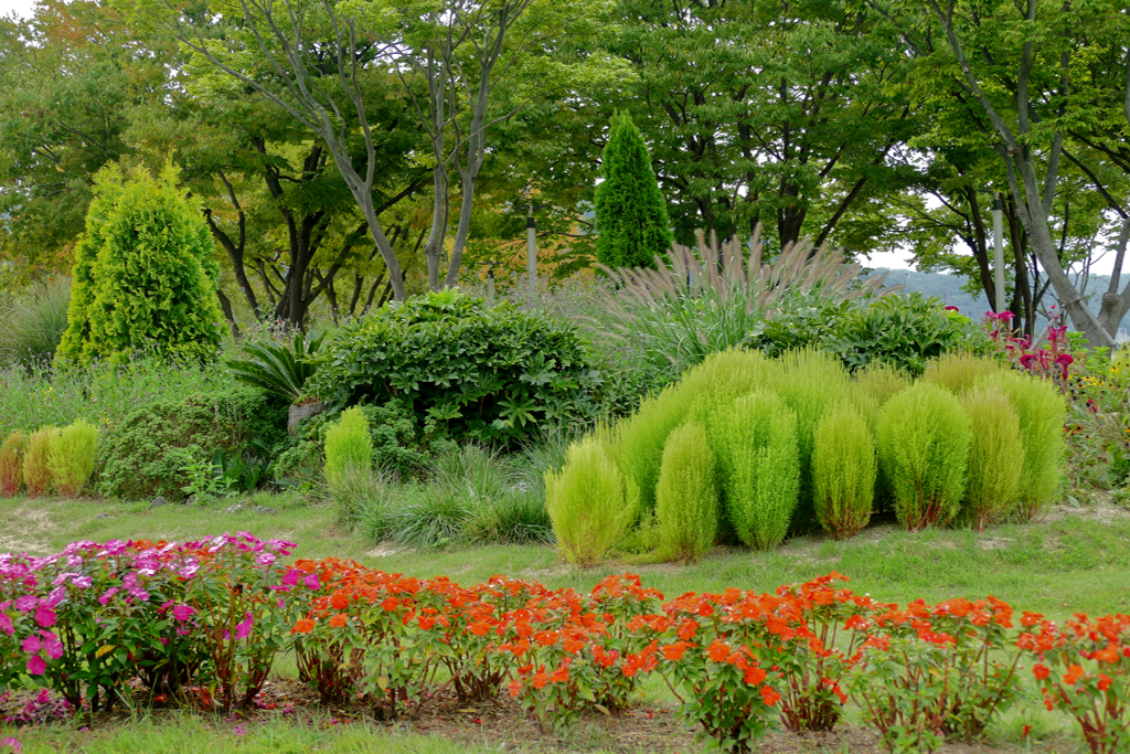 Taehwagang National Garden in Ulsan