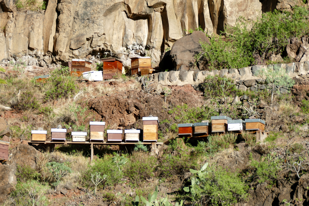 Beehives on the way to the waterfall in El Guro in La Gomera.