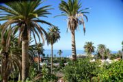 You can explore most of the ravishing places in La Gomera self-guided by public bus.