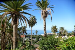 You can explore most of the ravishing places in La Gomera self-guided by public bus.