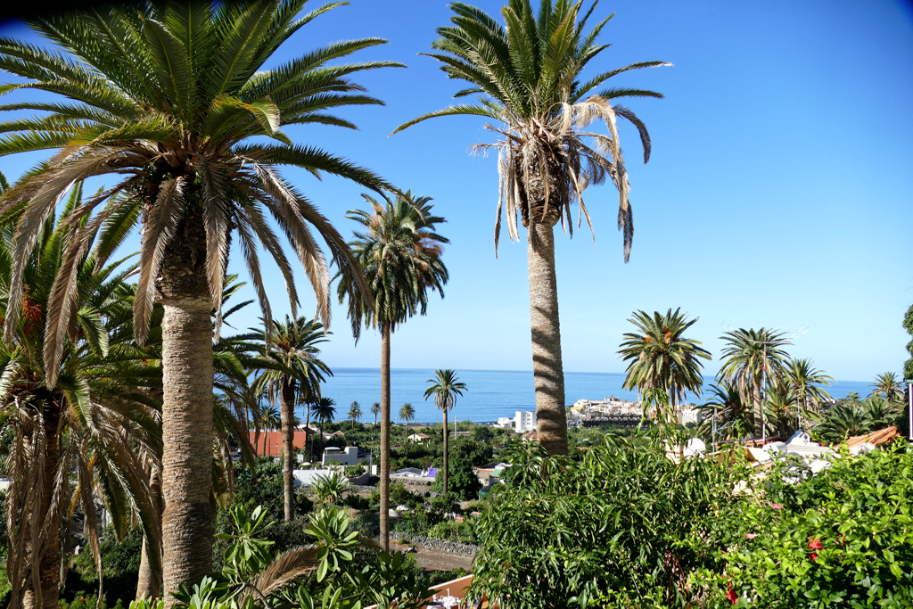 You can explore most of the ravishing places in La Gomera self-guided by public bus. 