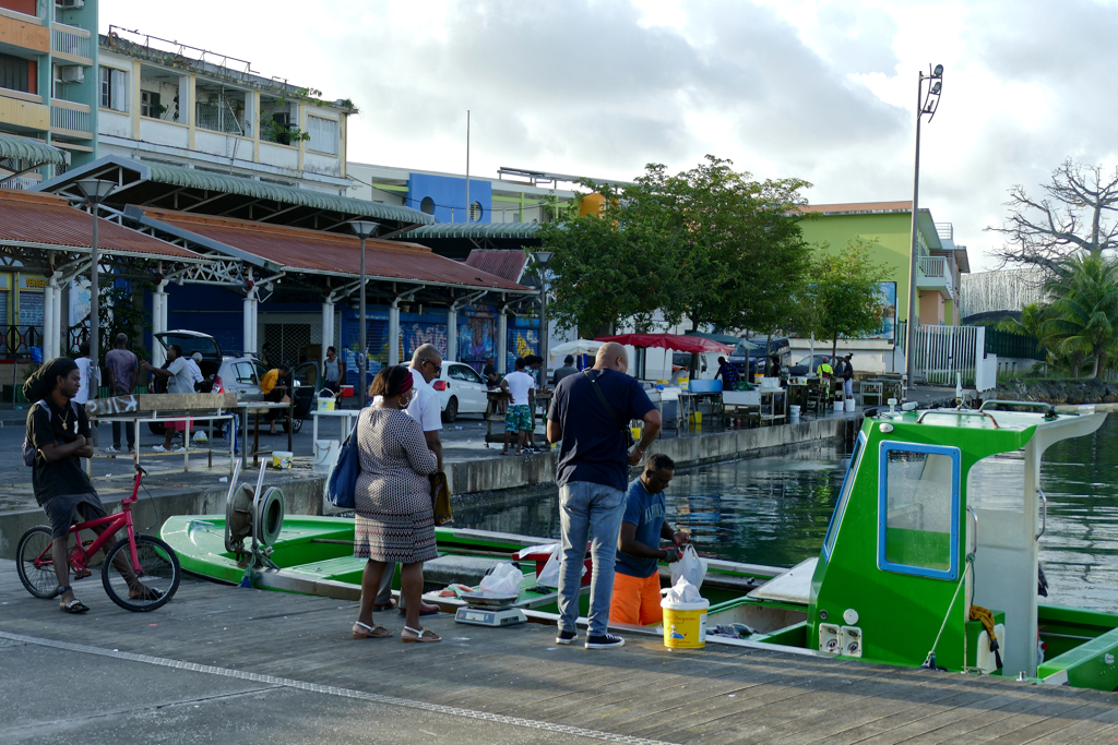Best Places Grand Terre Public Bus: Man selling fresh fish straight from the boat at Pointe-à-Pitre's fish market in the harbor basin.