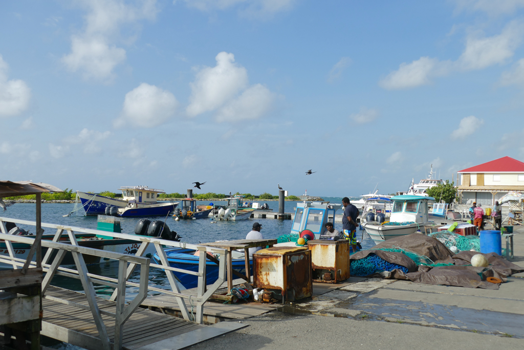 Best Places Grand Terre Public Bus: Fishing port of Saint Francois.