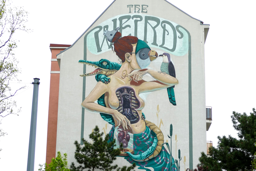 Best Street Art in Vienna: The Weird painted by Nychos, Frau Isa and Rookie the Weird located in Therese Sip park.