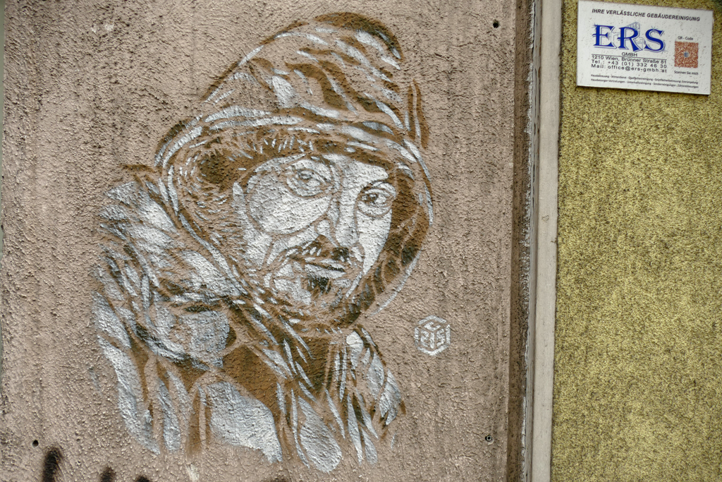 Best Street Art in Vienna by C215