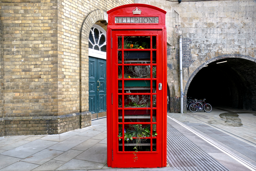 British Phone Booth full of plants