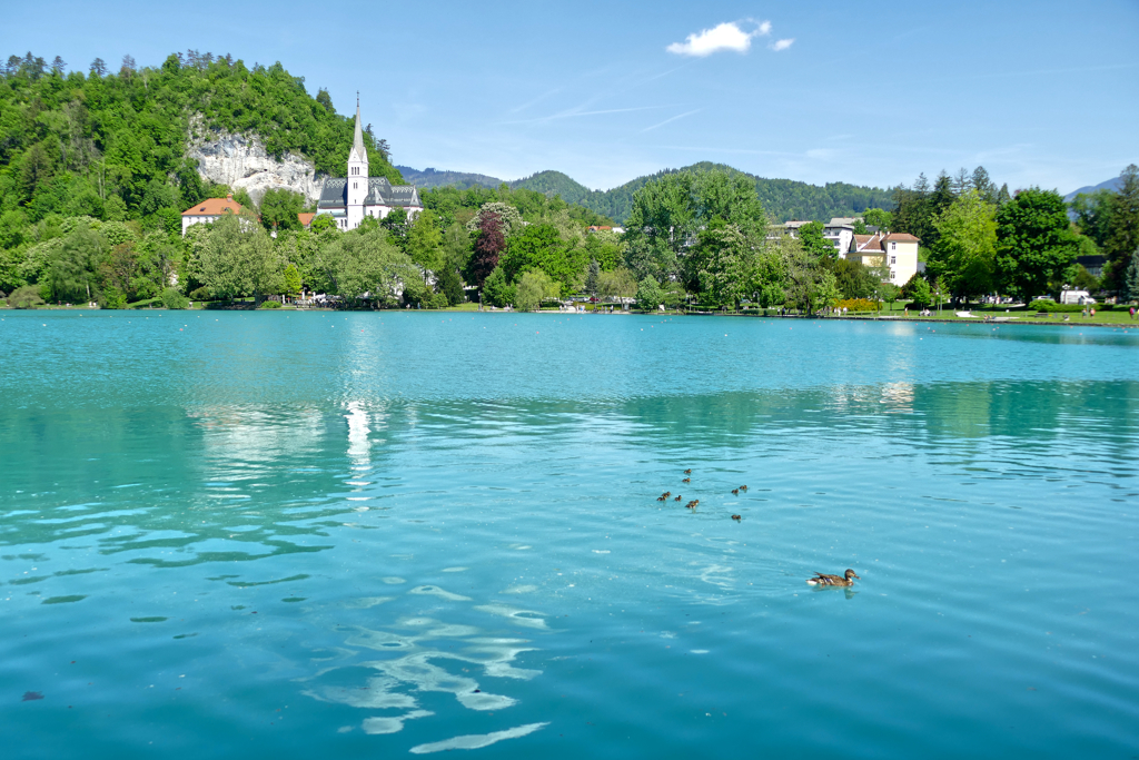 Northern Shore of Lake Bled