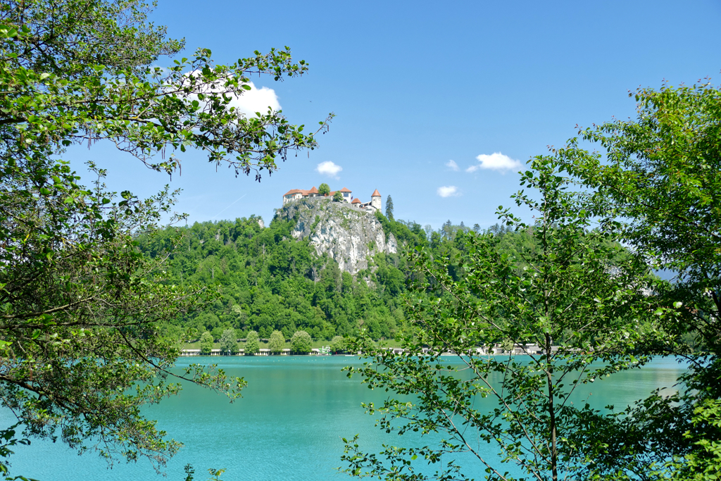 Bled Castle