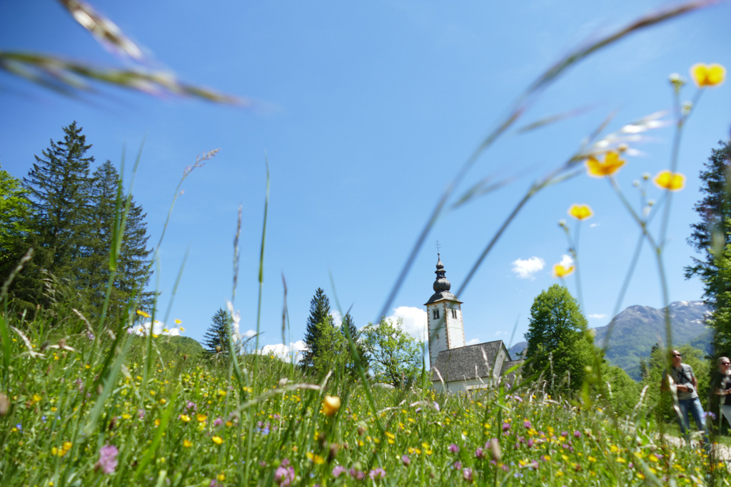 Day Trip to Bohinj, 
Slovenia's Beautiful and Wild Side.