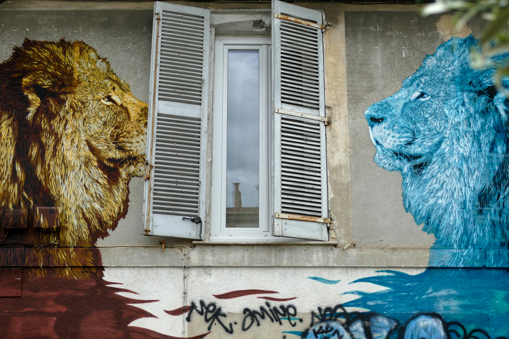 Mural by Polo 51.67 Polo 51.67 Lions