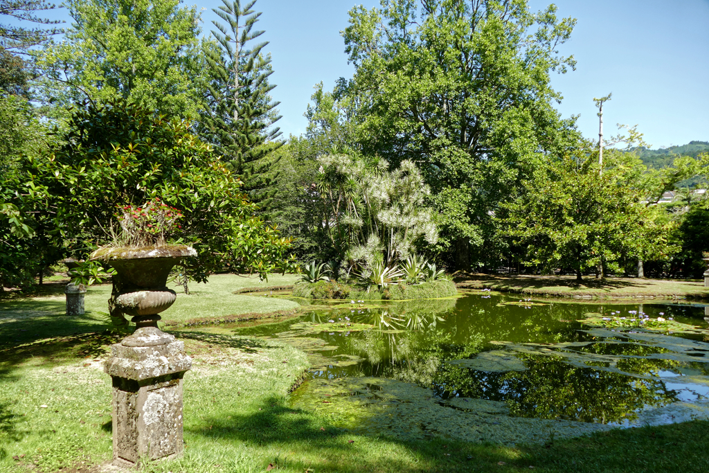 The so-called Blue Water Lily Lake in the Terra Nostra Garden.