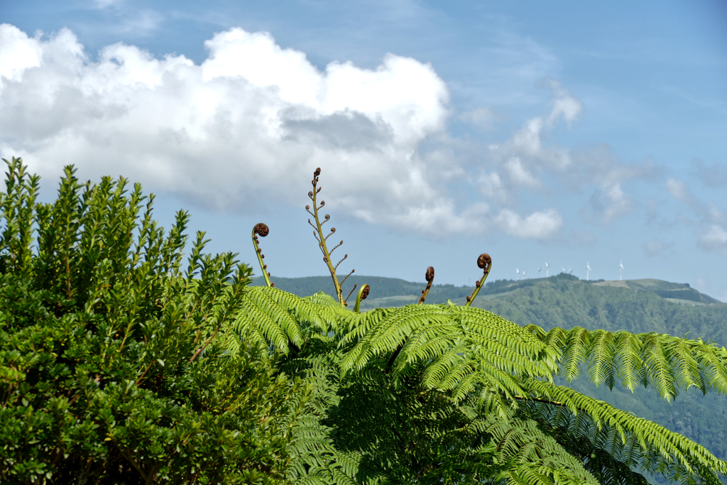 Mountains in Sao Miguel