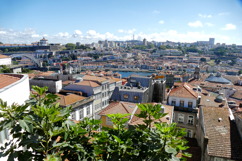 View of Porto from the Miradouro da Vitoria