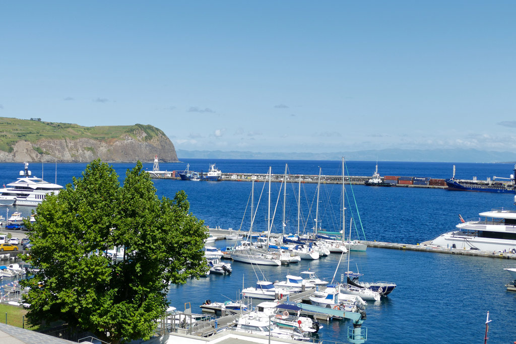 View of Horta's famous marina.