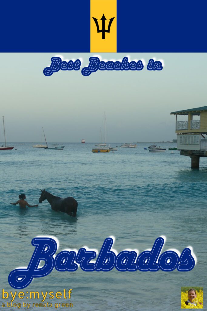 Barbados boasts more than 80 pristine beaches, many of which are recognized as the most beautiful beaches in the world. Very rightfully so. And since Barbados also boasts one of the best bus systems I have ever experienced in all my travels, it is easy, convenient, and very inexpensive to explore all of them by public bus. #beach #beaches #barbados #caribbean #westindies #antilles #island #femalesolotravel #byemyself