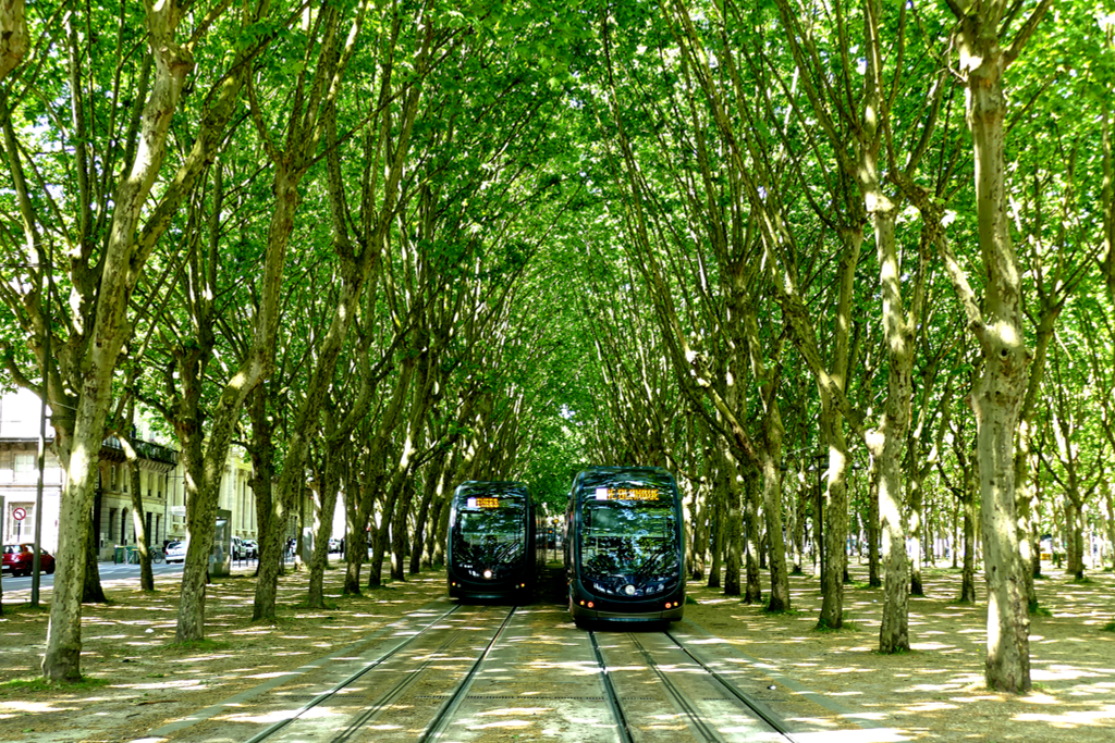 Two trams in Bordeaux.