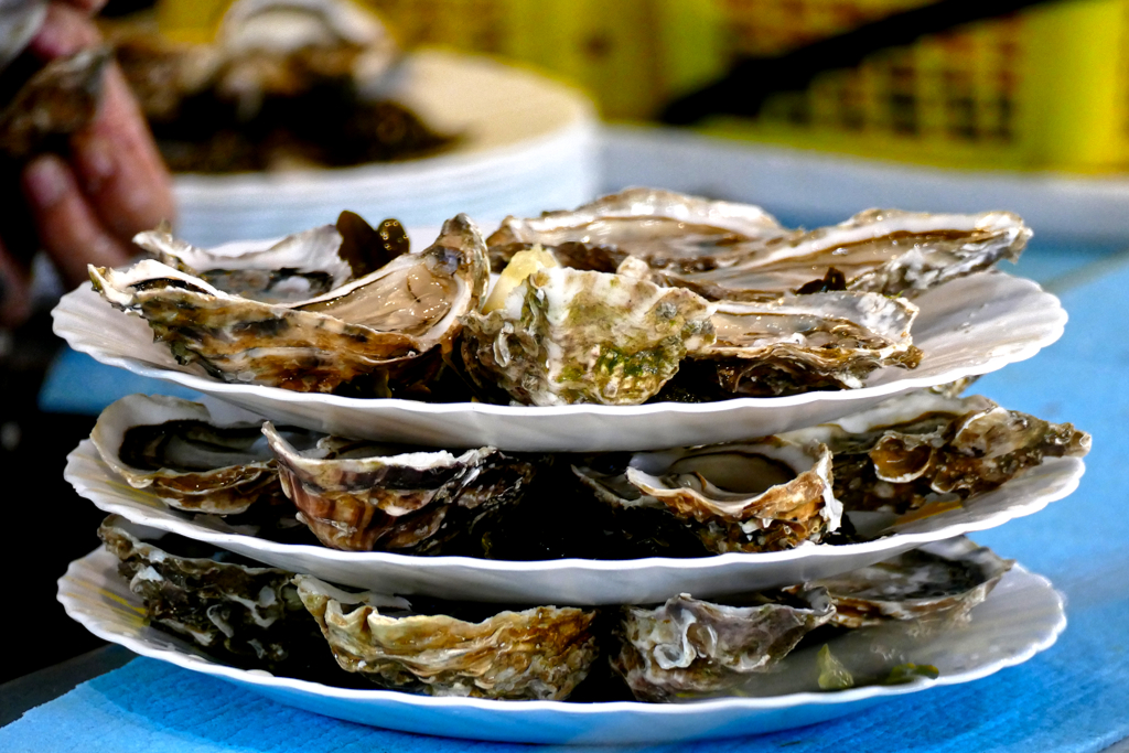 Oysters at the Marché des Capucins in Bordeaux.